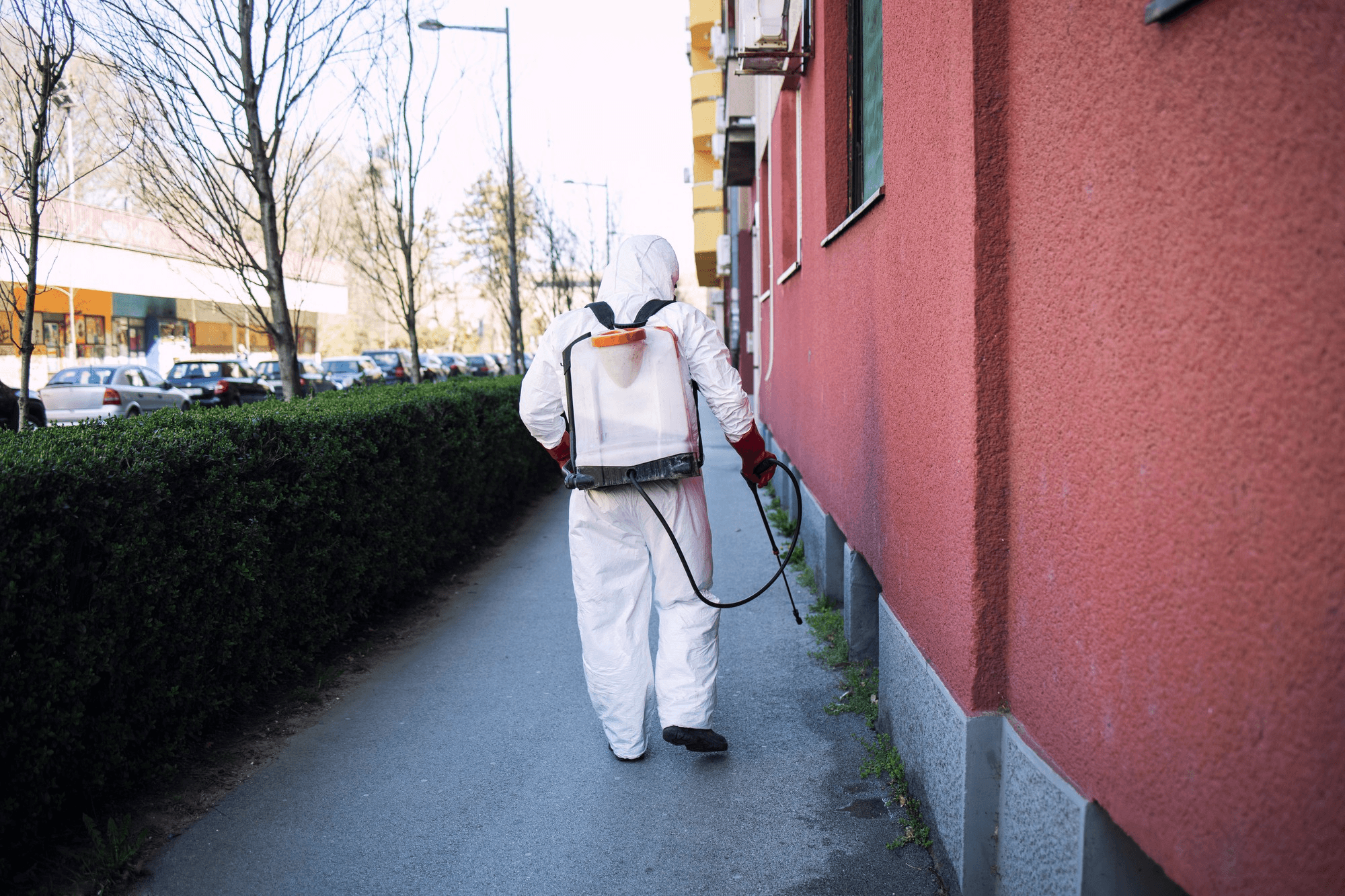 Pest control (no utensil removal)