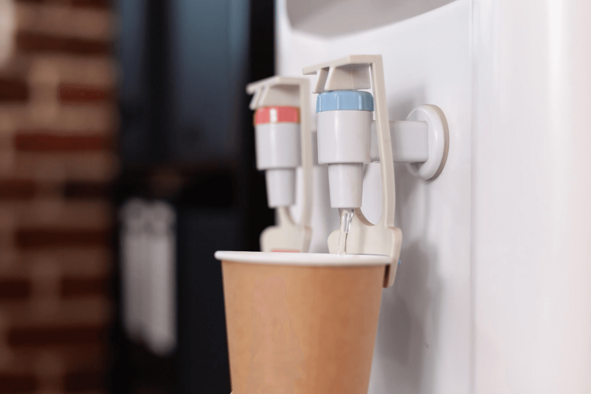 Water purifier service